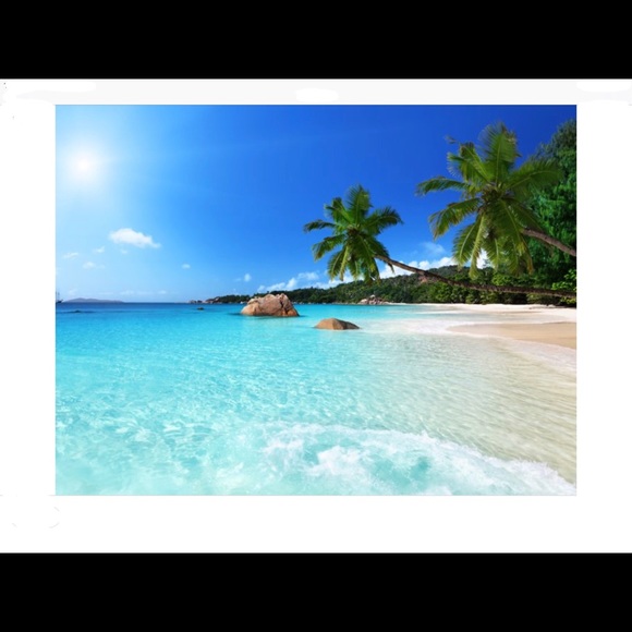 Make an OFFER... - Picture 6 of 8